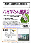 「平成20年4月／第26号」の画像