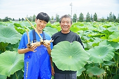 「大口れんこん」の画像1