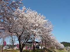 「おぐにせせらぎ公園」の画像2