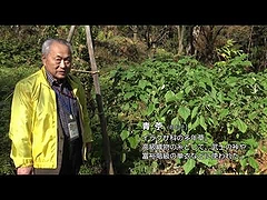 「栃尾城跡ガイド付きツアー」の画像