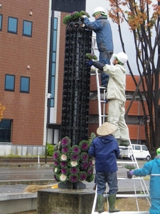 「冬の風物詩「ハボタンのフラワータワー」」の画像