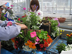 「最後に上の部分にも花苗を入れます」の画像