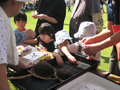 「ひまわりのタネ取りも人気でした❤」の画像