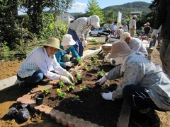 「みんなで花植え」の画像