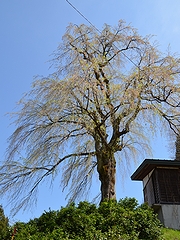 「栗山沢」の画像1