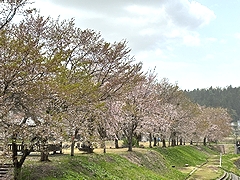 「せせらぎ公園」の画像1