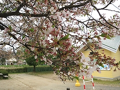 「河川緑地たちばな公園」の画像2