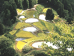 「棚田の景観（山古志）」の画像