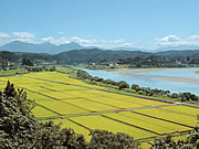 「魚野川を望む眺望景観」の画像