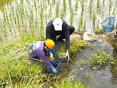 「いきもの探検隊×SDGs」の画像1