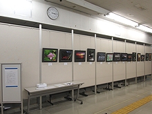 「「写団　鼓動」の作品展」の画像