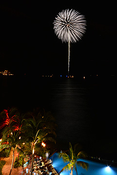 「「白菊」が夜空へ」の画像