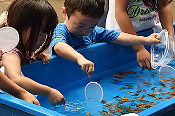 「山古志産の金魚すくいコーナー」の画像