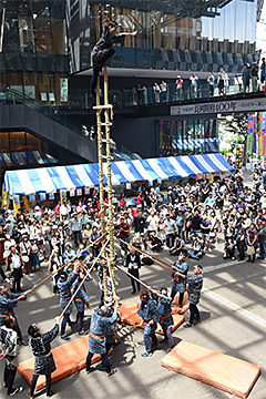 「長岡鳶工業協同組合による梯子乗り」の画像