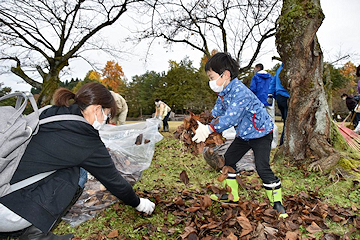 「桜用のたい肥作り」の画像