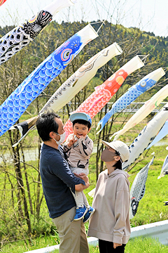 「岩田鯉のぼり」の画像1