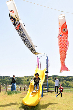 「岩田鯉のぼり」の画像4