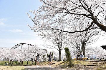 「今宮公園」の画像1