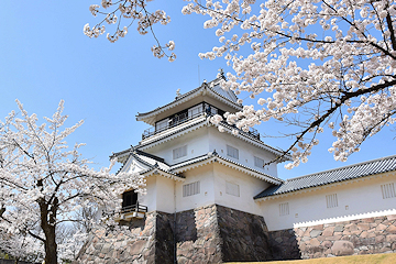 「悠久山公園」の画像1