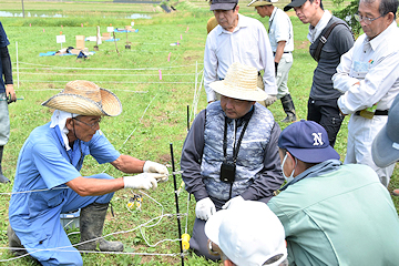 「和島の下富岡区から参加した中村さん」の画像