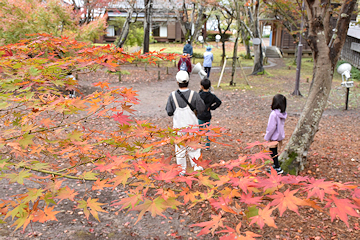 「紅葉のピークは10日頃」の画像1