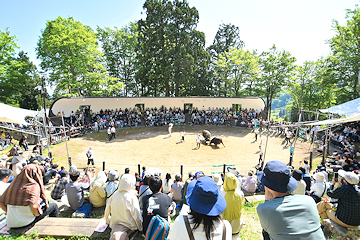 「千秋楽の11月まで毎月開催」の画像