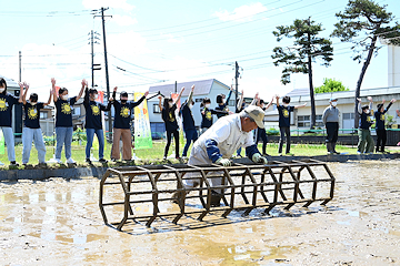 「学校田で田植えを行いました」の画像