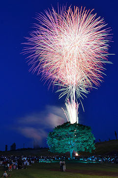 「バラを表現した花火が夜空を彩りました」の画像2