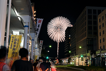 「慰霊の想いを込めた花火「白菊」」の画像2