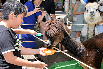 「ショーや体験ブースなどが盛りだくさん」の画像