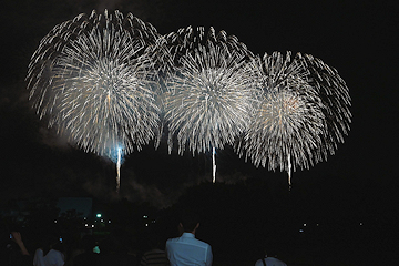 「夜空を彩る長岡花火」の画像