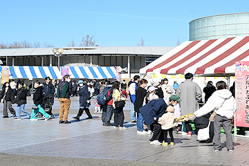 「長岡雪しか祭り」の画像4