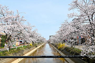 「福島江」の画像2