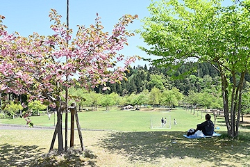 「広々とした多目的広場」の画像