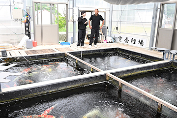 「丸重養鯉場」の画像1