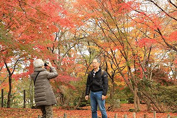 「写真撮影や散策を楽しむ人たちの姿が見られました」の画像2